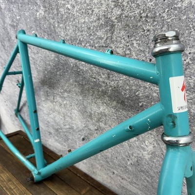 Vintage Specialized Rockhopper MTB Frame 20.5in Repaint Steel