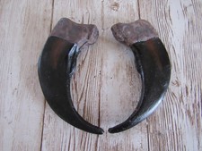 2 Resin Grizzly Bear Claws 2" Jewelry and Craft Projects Necklace Replica CL2