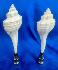 Pair Of Natural Seashell Lamp Finials 