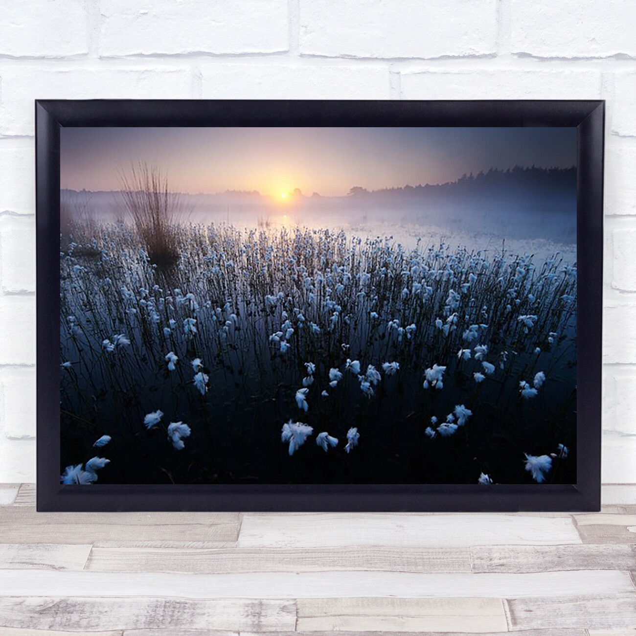 In The Blues Sunrise Mist Netherlands Lake Sun Dawn Morning Cold Wall Art Print