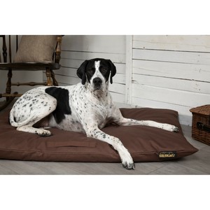 scruffs memory foam dog bed