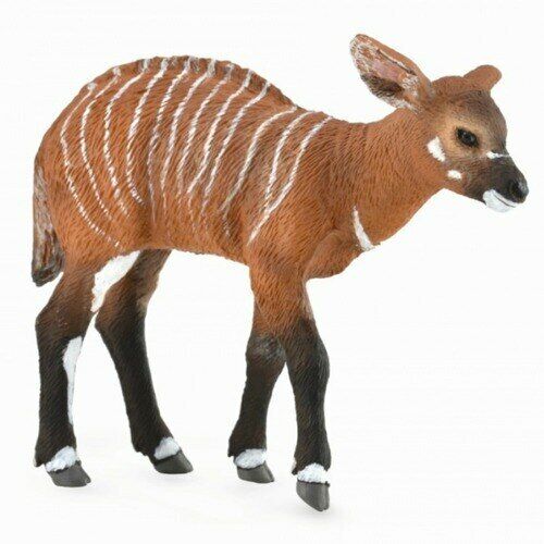 CollectA Bongo Calf - Picture 1 of 1