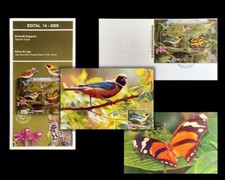 Butterfly Japi Mountain Range/State of São Paulo Brasil 2008