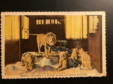 Antique " The LION GROUP " Postcard Made in USA