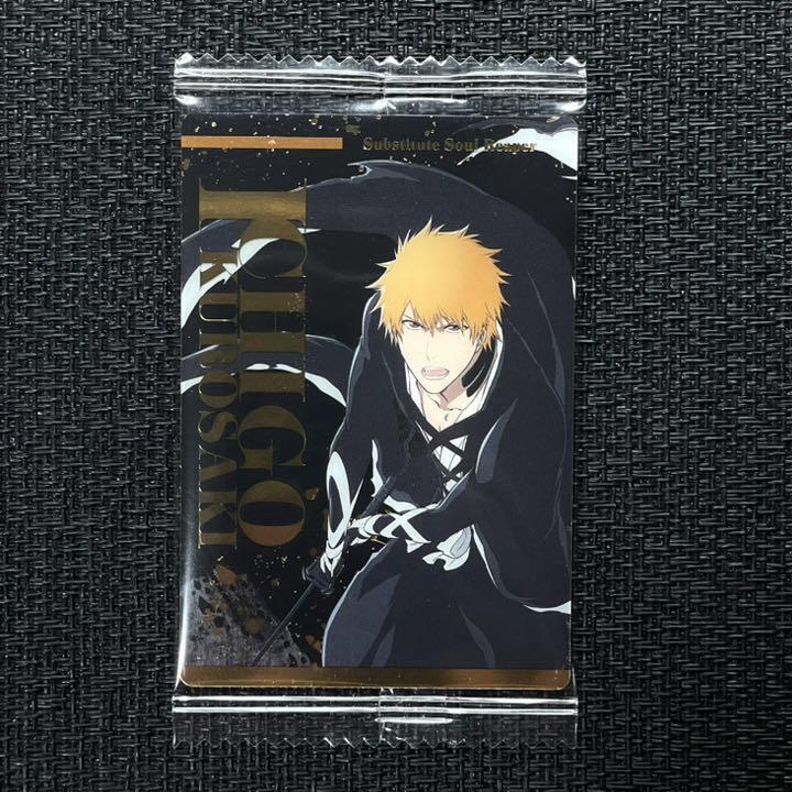 Inu — Kurosaki Ichigo