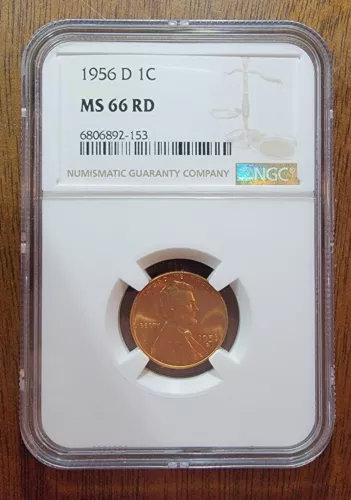 1956-D 1C RD Lincoln Wheat One Cent NGC MS66RD