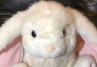 Bild 2 von 3