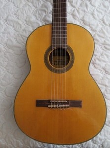 Ventura Bruno Guitar | eBay