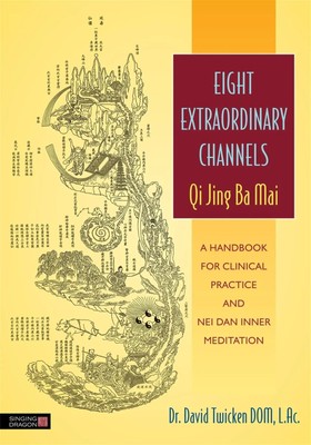 Eight Extraordinary Channels: Qi Jing Ba Mai | David Twicken | Englisch | Buch