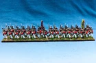 15mm Napoleonic WGS Painted British 27th Infantry (32 figures) NBA6