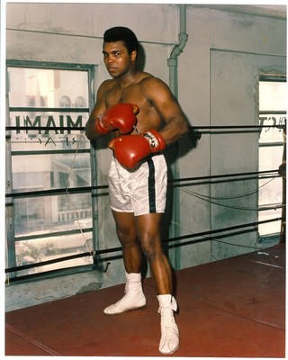 x 10 Color Glossy Photo: Muhammad Ali Boxing - Main Image