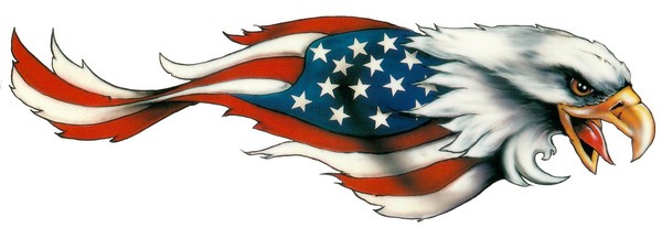 Aufkleber USA Adlerkopf Rechts XL 41 X 13 Cm Tank Airbrush Eagle Right Sticker-image