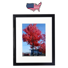 Share Picture Frame 8X12, Display Pictures 6X8 with Mat or 8X12 without Mat, B