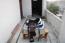 western Leather Show saddle with silver corner and conchos all size