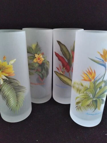 Gafas Tommy Bahama Vaso largo