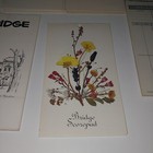 Picture 4 of 9