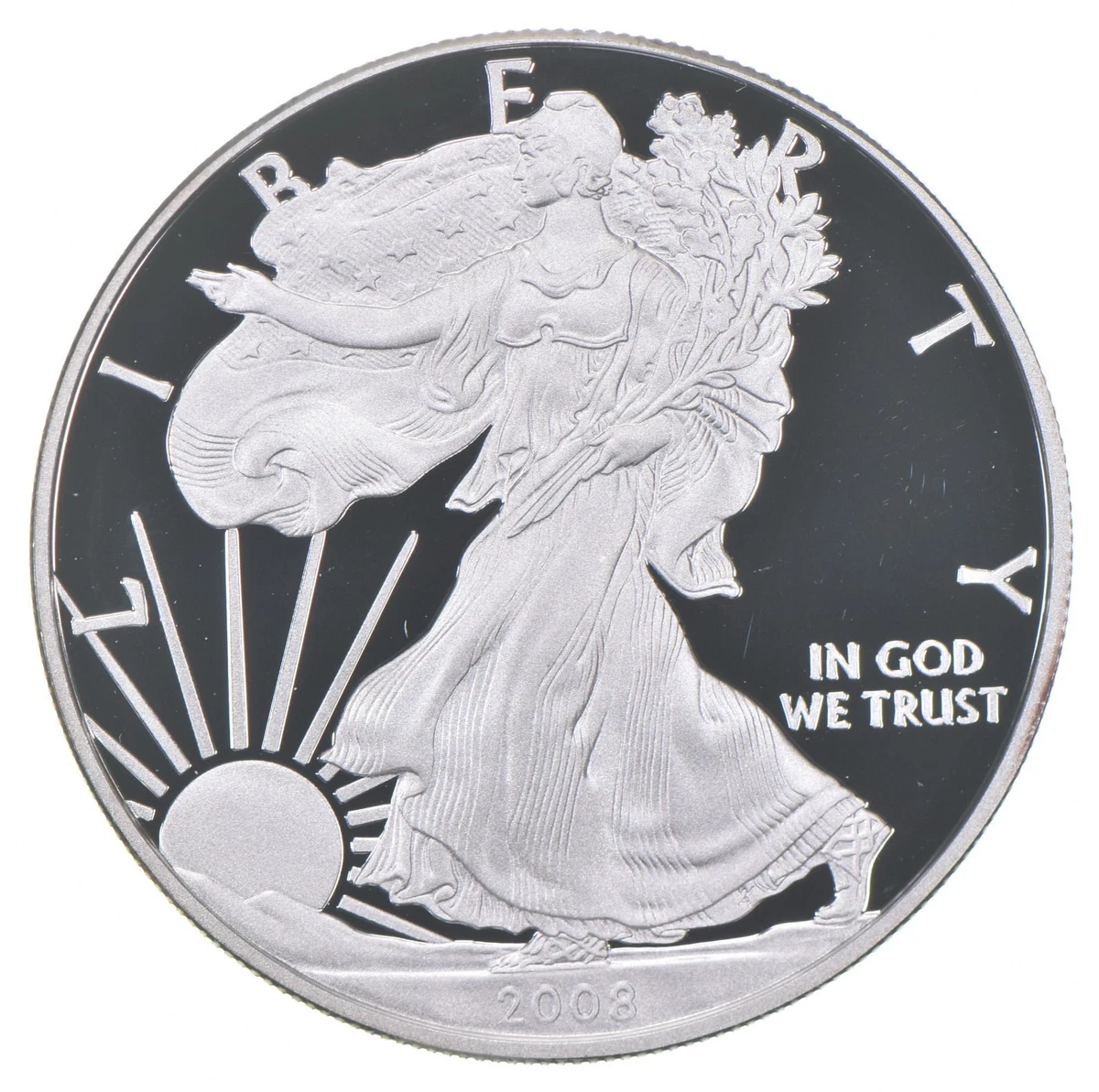 2008 W Silver Eagle for sale | eBay