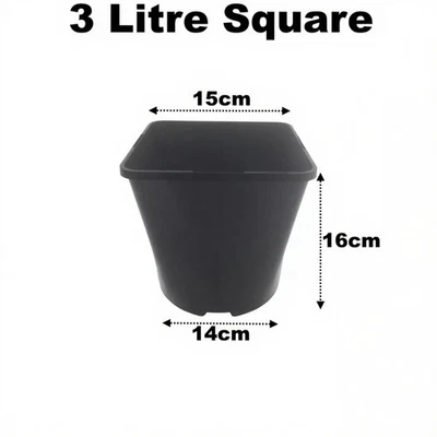 3 Litre Square Plant Pots 15cm ( 6" ) Black Plastic 1cm Deep Seed Flower Pot - Image 1 of 4