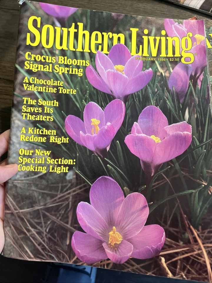 Southern Living Lot of 4 Magazines Recipes Home Ideas 1986 Jan Feb March Sept Foto 3 de 4