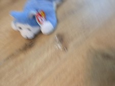 Ty Blue Husky Nanook