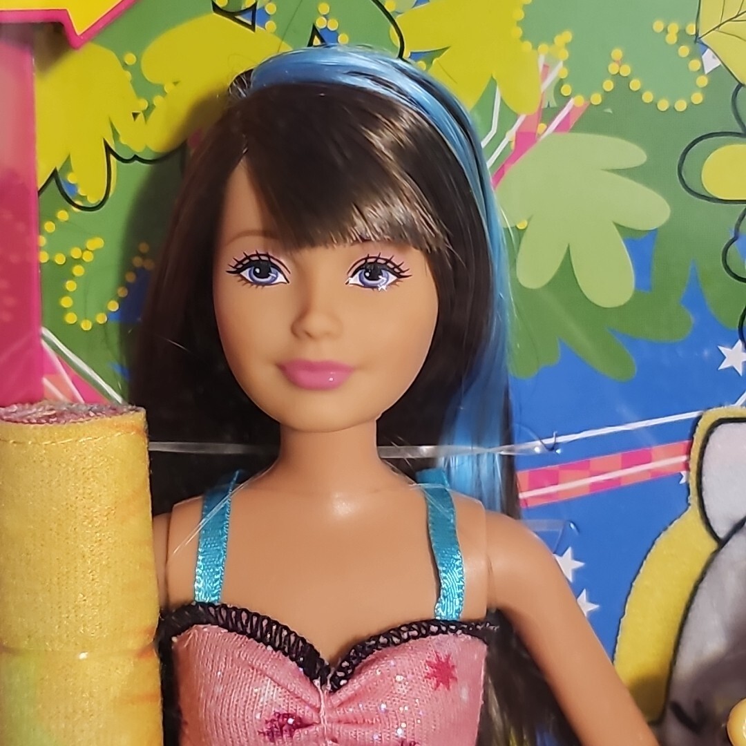 2011 Barbie Sisters Sleep Out Skipper Chelsea Doll Sleepover