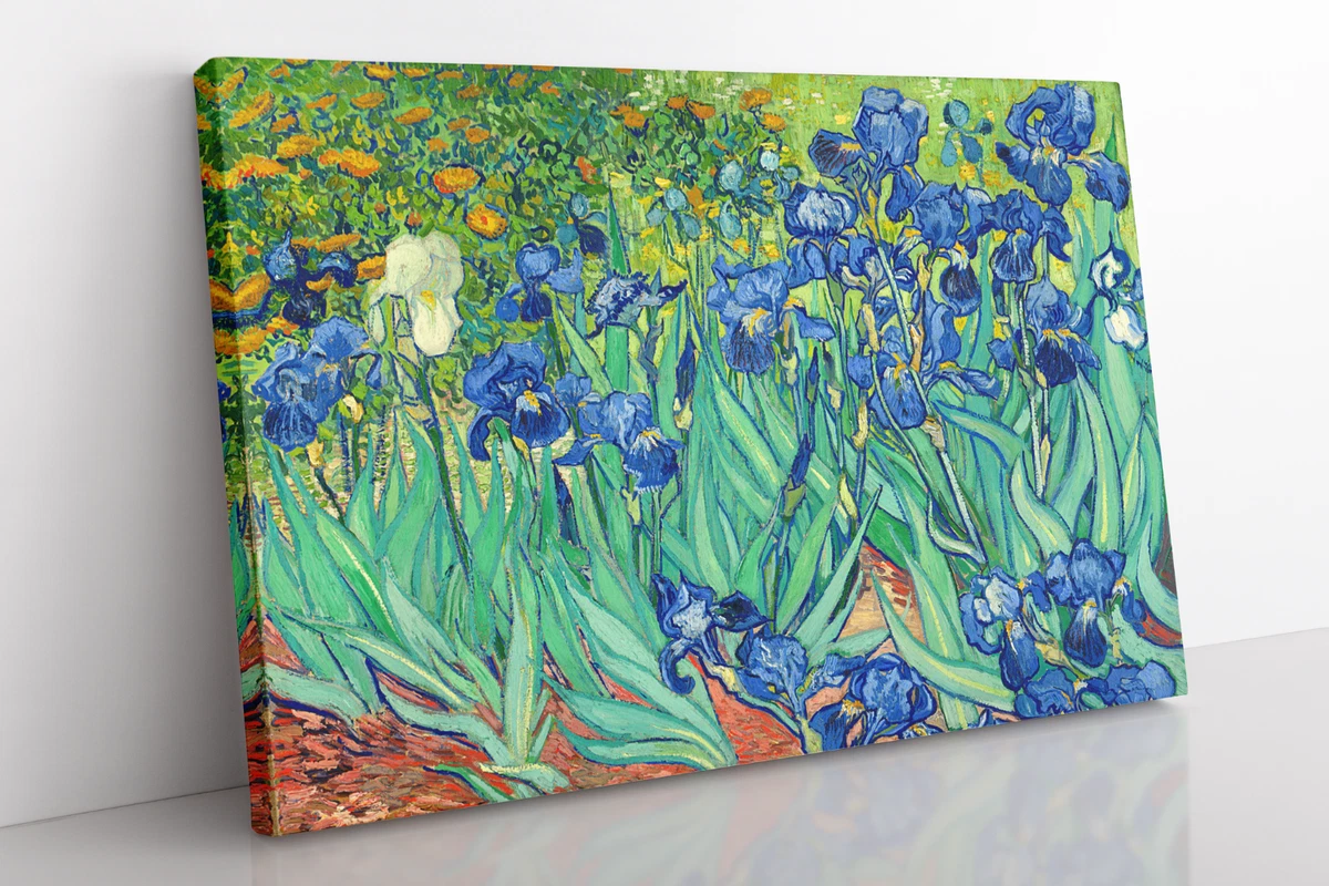 Vincent van shop gogh irises