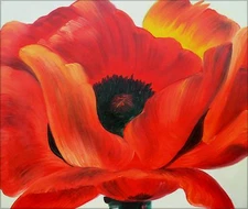 Red Poppy Repro, Quality Hand Painted Oil Painting, 20x24in