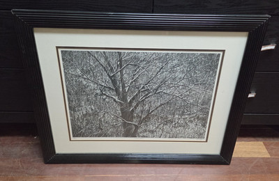 Louis Jones Virginia Artist Litho LTD ED 1982 Art Print ''LIFELINES''  With COA