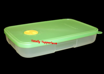 Tupperware Freeze Smart Dial Container Rectangle 2.5 Cup Green Freezer ...