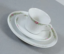 Mitterteich porcelain coffee place setting scattered flowers flower tendrils ...