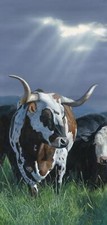 Ceramic Backsplash Tile Mural Farm Animal Kitchen/Bathroom - Star of Texas