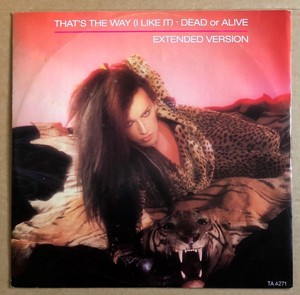 Dead Or Alive That S The Way I Like It Extended Version 12 Vinyl Ex Con Ebay