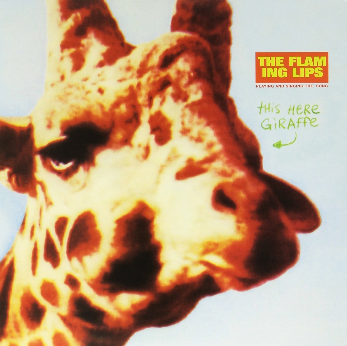 THE FLAMING LIPS This Here Giraffe RSD 10