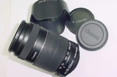Canon 55-250mm F/4-5.6 II IS 2044B002 EF-S Objektiv - Neuwertig