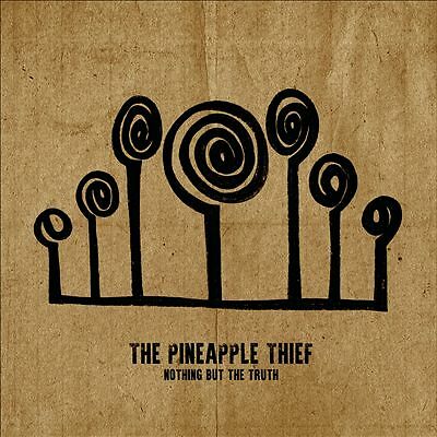 Pineapple Thief Nothing But The Truth LP New 802644813615