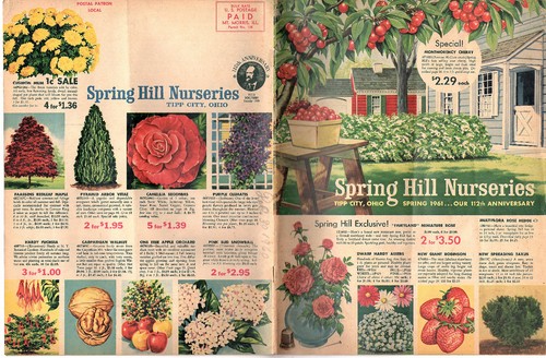 Flowers Vegetables Trees Bulbs 1961 Catalog Spring Hill Nurseries Tipp City OH   - Bild 1 von 6