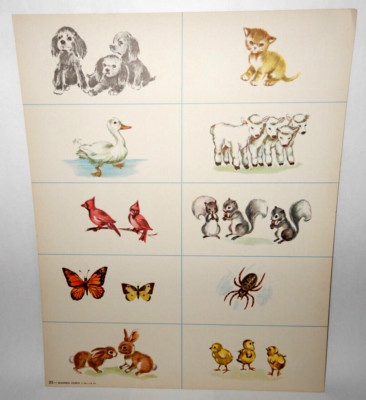 VINTAGE 1952 J.C.W. GROUP EXPERIENCE READING READINESS CHART - PICTURE BOXES