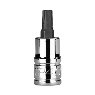 Capri Tools TP40 Star Plus Bit Socket, 3/8 in. Drive (Pack of 1) 