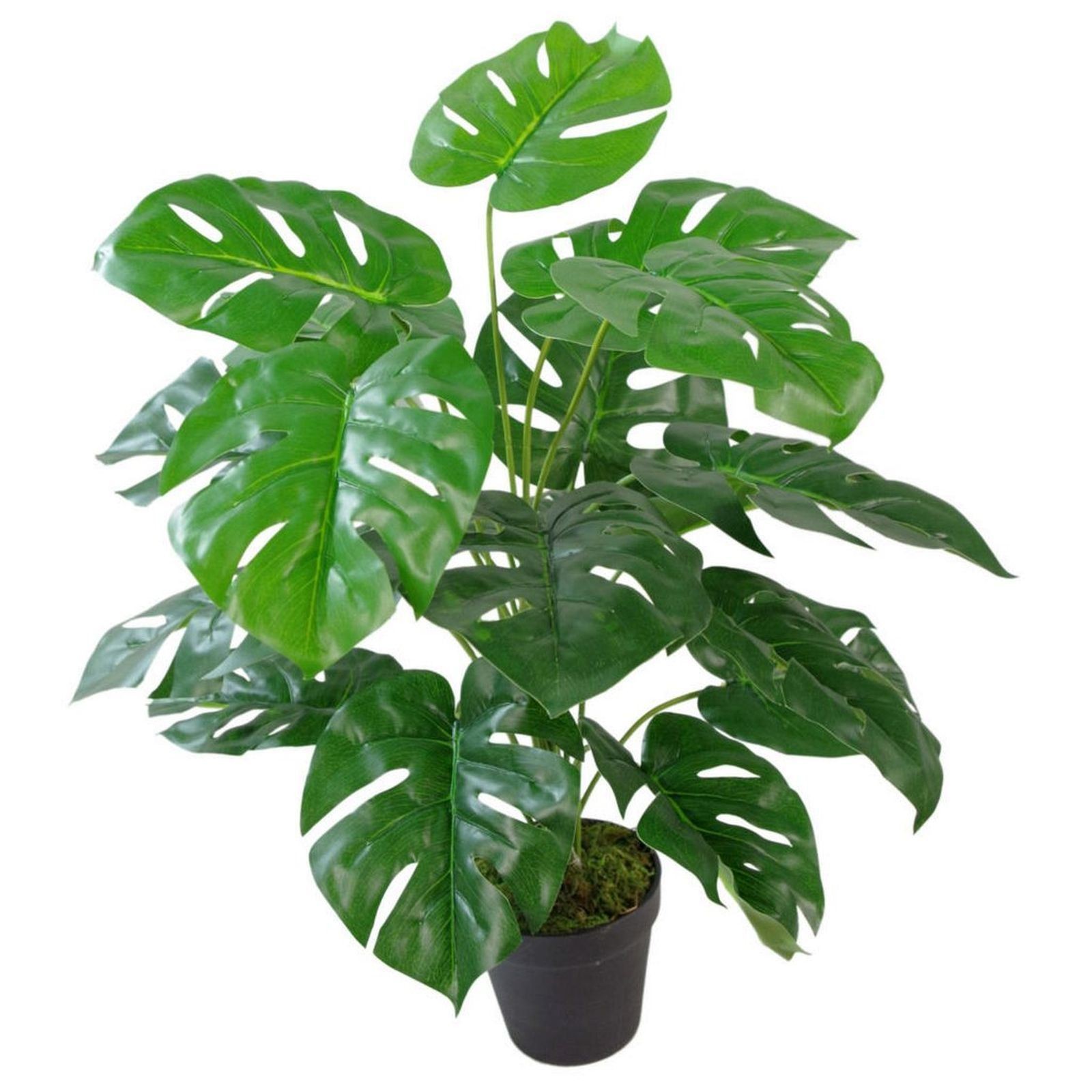B&Q - 60Cm  Realistic Artificial Monstera Cheese Plant - Image 3