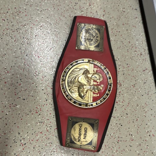 Everlast Boxing Championship Belt Replica Open Champion Red Black Gold