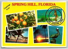 Postcard Continental Spring Hill Florida Swimsuit Pelican Oranges Sunset