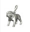 silverdogcharms