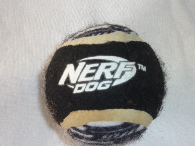 Nerf Dog Ball Toy Dog,