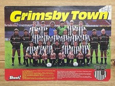 Hand Signed A4 Picture - Grimsby Town FC 1986/87 season - 20 signatures