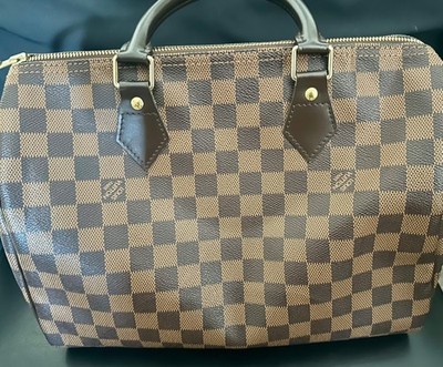 Louis Vuitton Damier Ebene Speedy 25