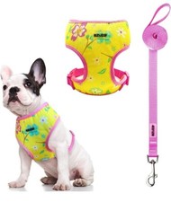 Fashion Dog Collar Harness Leash set NEW