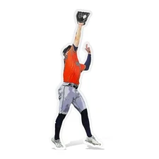 Chas McCormick Houston Astros Glossy Sticker Vinyl Laminate, Self Adhesive