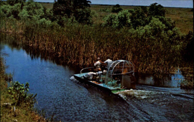 Airboat Everglades Florida Sümpfe USA Ansichtskarte color Postcard Postkarte