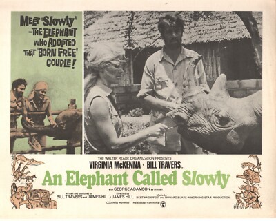 An Elephant Called Slowly (1970) 11x14 Lobby Card #nn