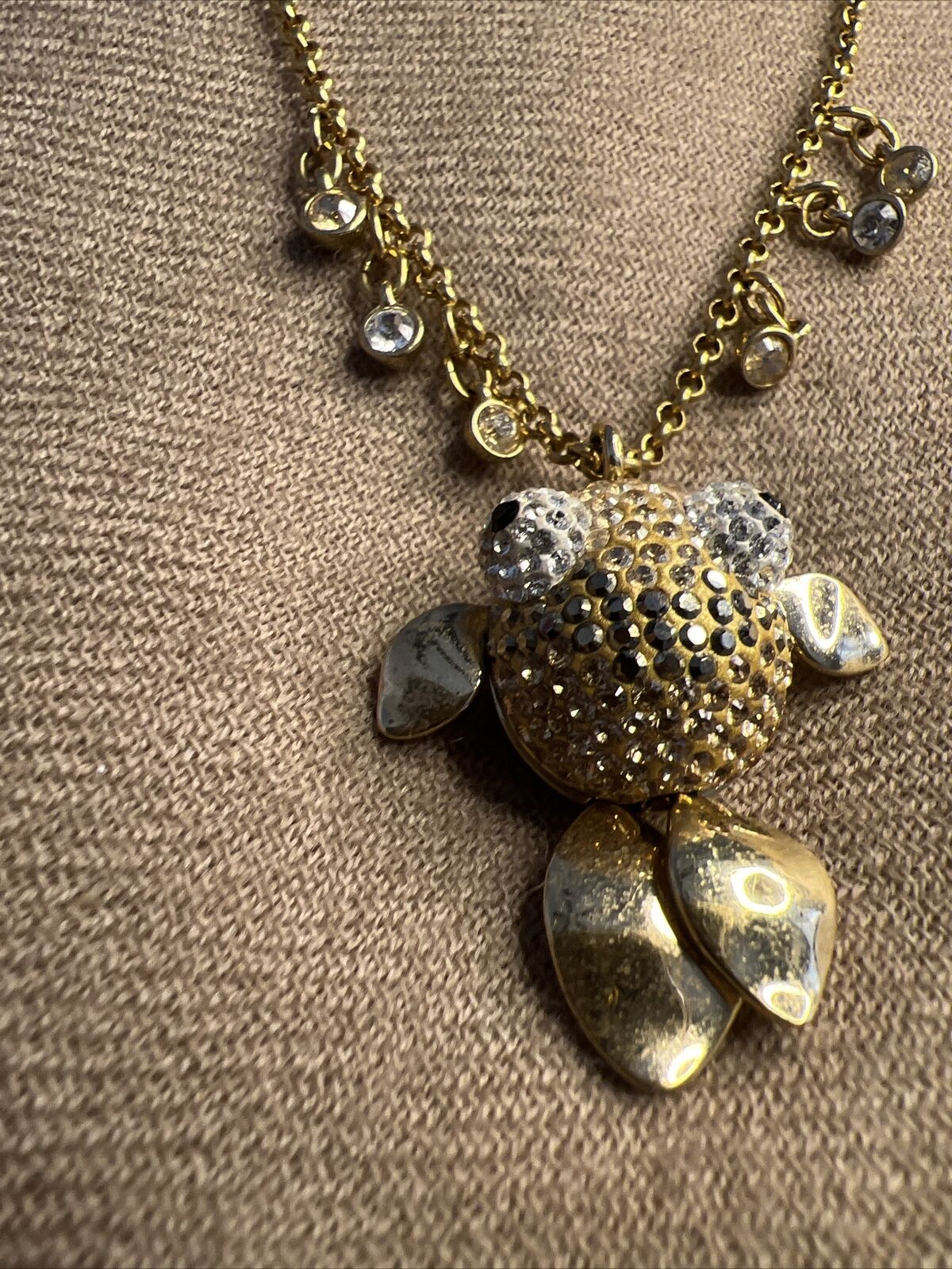 Picture 5 of 14